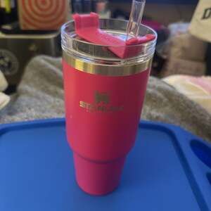 30 oz Stanley Camila Pink No handle